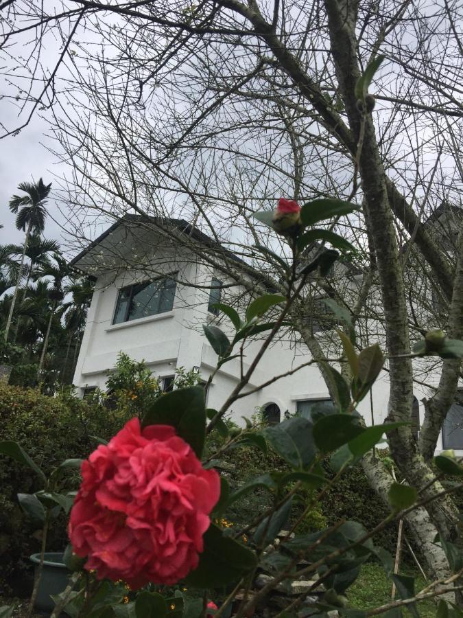 Wuju Wusu B&B Wenlan Exterior photo